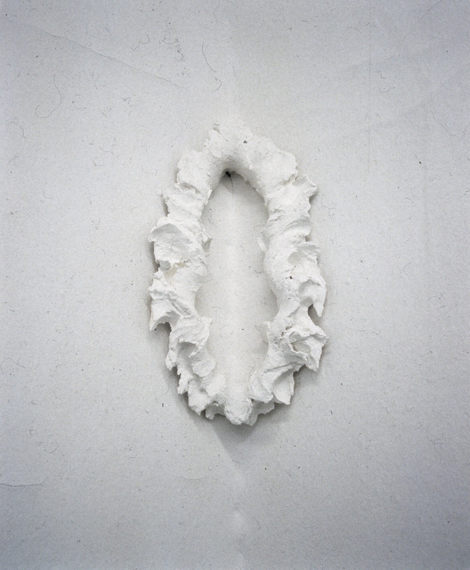 Še (kotna postavitev)