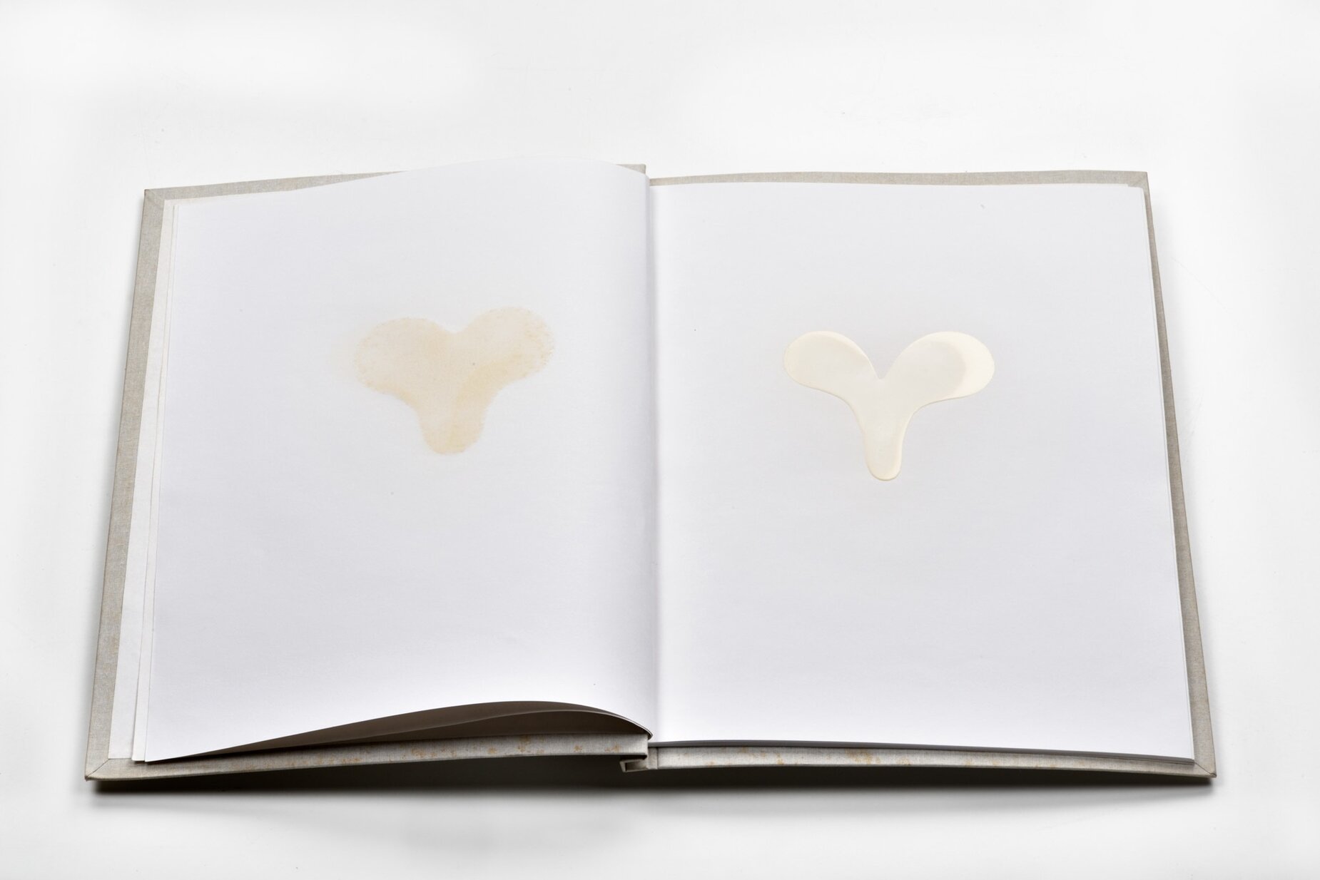 Egoizem v narcisizem