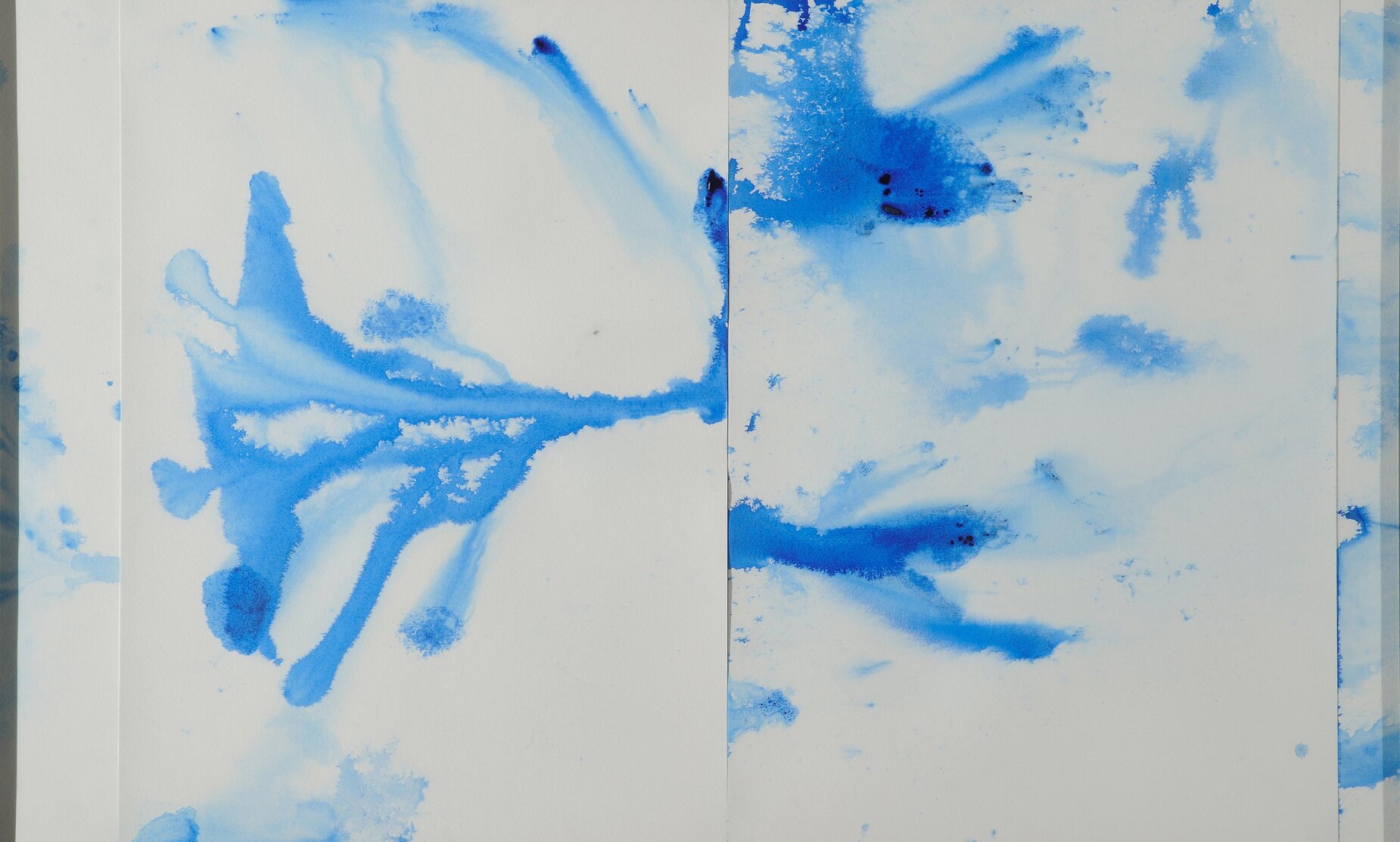 »Hydras« III. (Pod svet, pod - pod svet, razlita podoba)