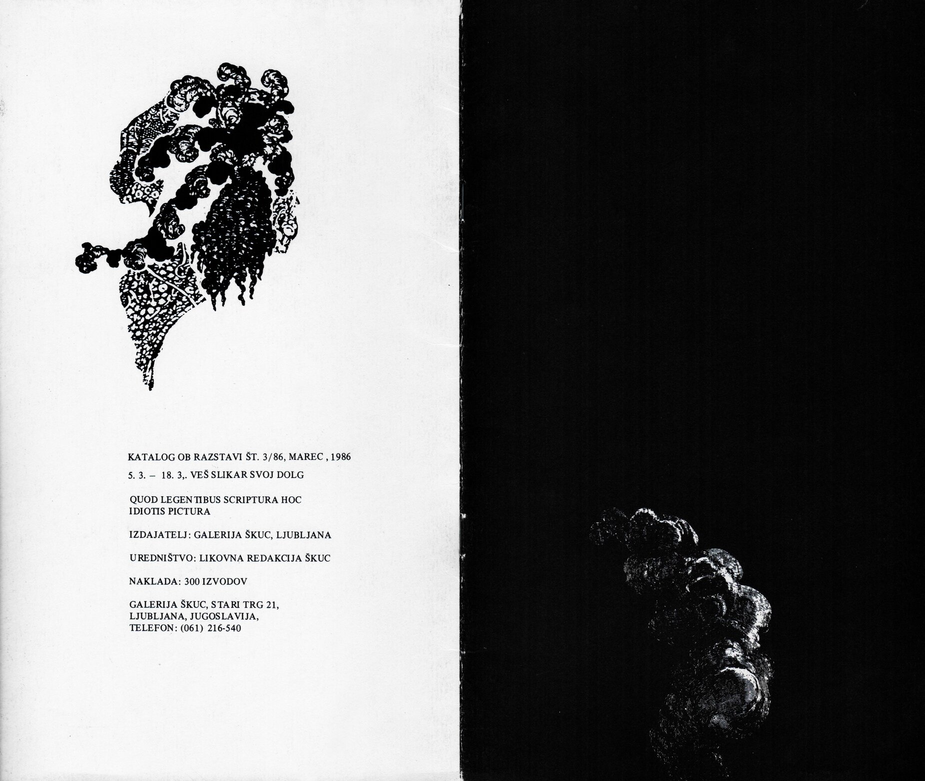 Quod legen tibus scriptura hoc idiotus pictura