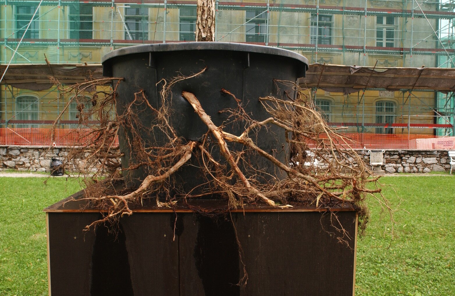 NARAVA NA PODSTAVKUNARAVA V OKVIRJU MESTO NARAVA KIP 3 1